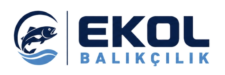 ekol-balikcilik